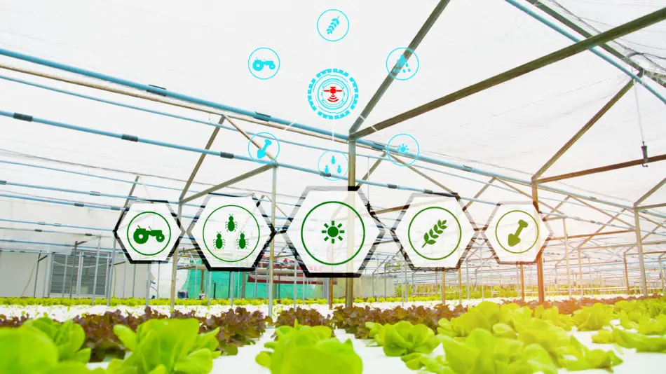 vertical-farming-technology-how-does-it-work-vertical-farming-planet