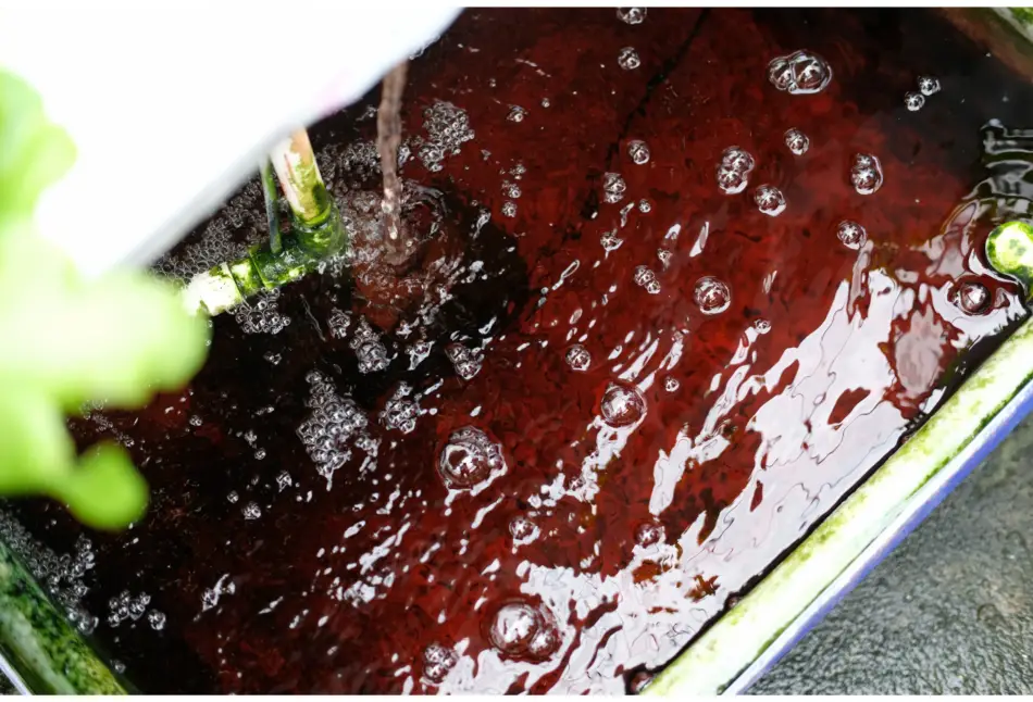 How To Keep Hydroponic Water Cool Vertical Farming